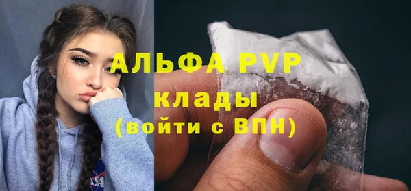 стаф Арсеньев