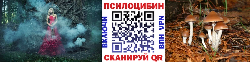 Псилоцибиновые грибы ЛСД  Купить закладки  Любим 